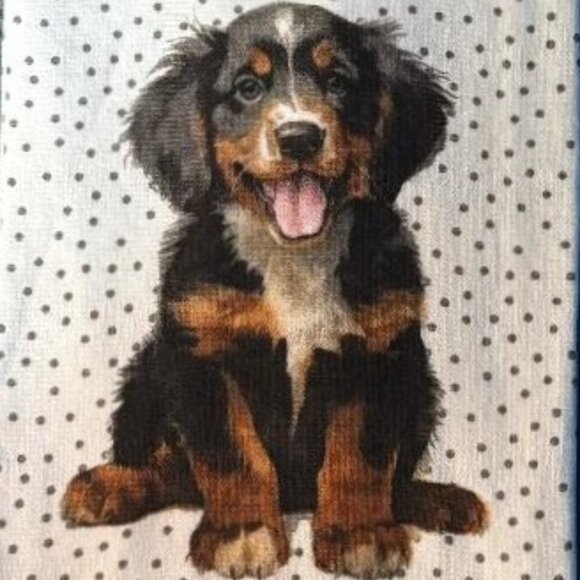NWT & HARD TO FIND 3 PACK BERNESE MOUNTAIN DOG PUPPY PLUS GREY ABSORBENT TOWELS - Picture 9 of 12